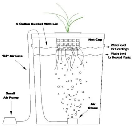 experiments with hydroponics|Hydroponics for Beginners: Your Easy Guide to .